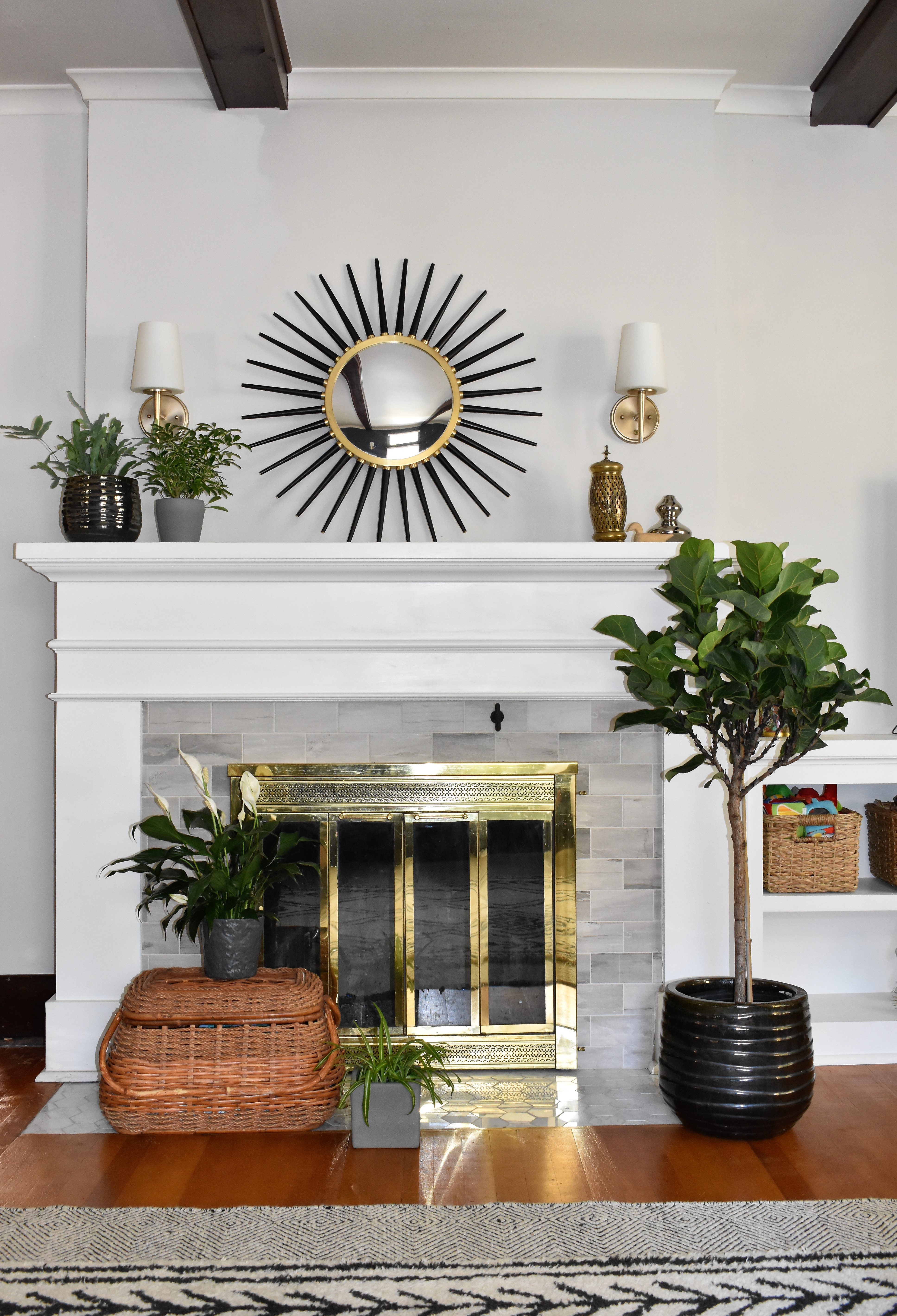 best plants low light