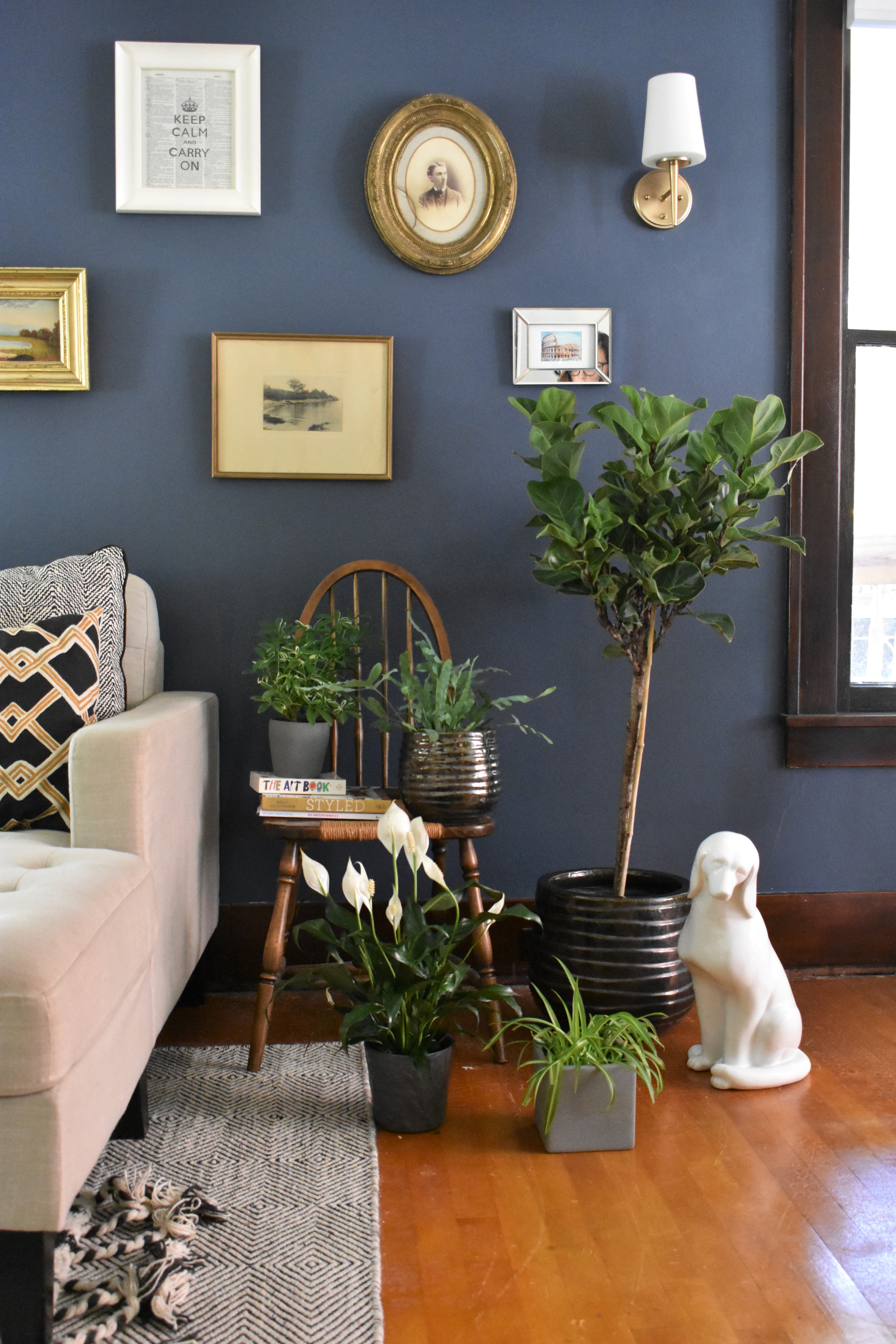 best plants low light 