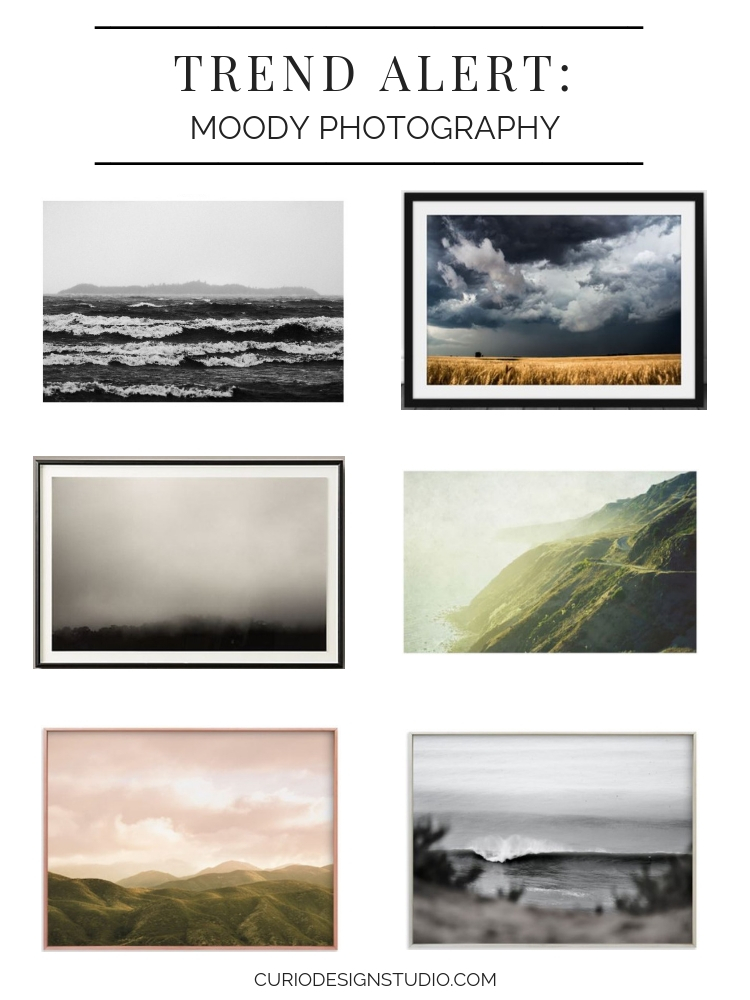 TREND MOODY PHOTOGRAPHY 